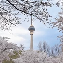 北京旅游 缩略图 2