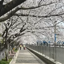 无锡旅游 缩略图 2