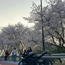 无锡旅游 缩略图 9