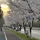 无锡旅游 缩略图 12