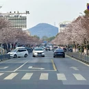 无锡旅游 缩略图 18