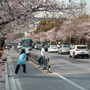 无锡旅游 缩略图 17