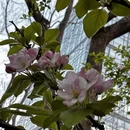 北京旅游 缩略图 5