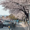 无锡旅游 缩略图 16