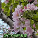 北京旅游 缩略图 1