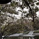 北京旅游 缩略图 10