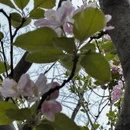 北京旅游 缩略图 4