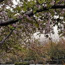 北京旅游 缩略图 9