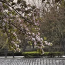 北京旅游 缩略图 8