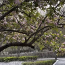 北京旅游 缩略图 12