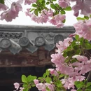 上海旅游 缩略图 3