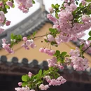 上海旅游 缩略图 2