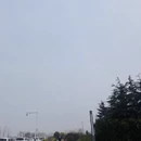 青岛旅游 缩略图 4