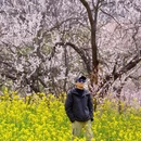 林芝旅游 缩略图 1