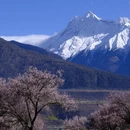 林芝旅游 缩略图 4