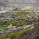 林芝旅游 缩略图 5