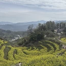 黄山旅游 缩略图 5