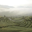 黄山旅游 缩略图 1