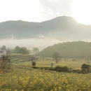黄山旅游 缩略图 2
