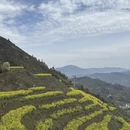 黄山旅游 缩略图 6