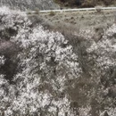 林芝旅游 缩略图 9