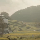 黄山旅游 缩略图 3