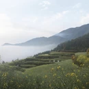 黄山旅游 缩略图 10