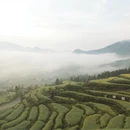 黄山旅游 缩略图 9