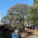 福州旅游 缩略图 1