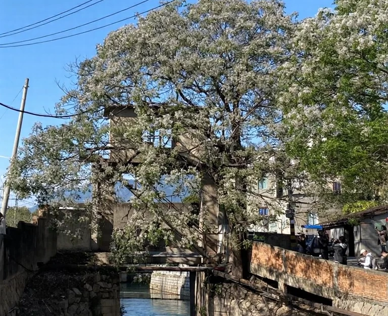福州旅游 1