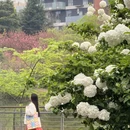 武汉旅游 缩略图 1
