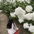 武汉旅游 缩略图 5