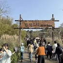 南京旅游 缩略图 1