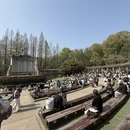 南京旅游 缩略图 4