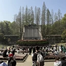 南京旅游 缩略图 1