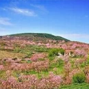 上海旅游 缩略图 3