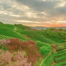 上海旅游 缩略图 2