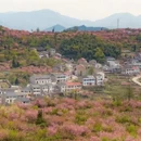 上海旅游 缩略图 6