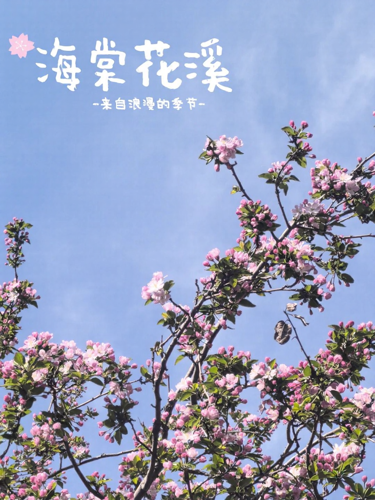 北京旅游