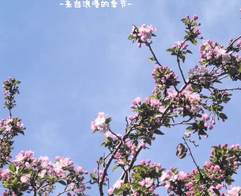 北京旅游 1