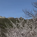 北京旅游 缩略图 8