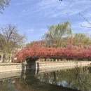 北京旅游 缩略图 10