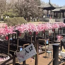 北京旅游 缩略图 11
