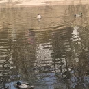 北京旅游 缩略图 8