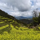 黄山旅游 缩略图 1