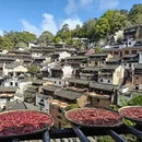 黄山旅游 缩略图 6