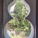 黄山旅游 缩略图 12