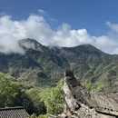 黄山旅游 缩略图 11
