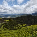 黄山旅游 缩略图 9