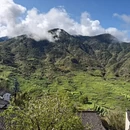黄山旅游 缩略图 10